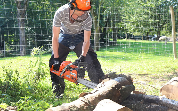 Sawing / Pruning